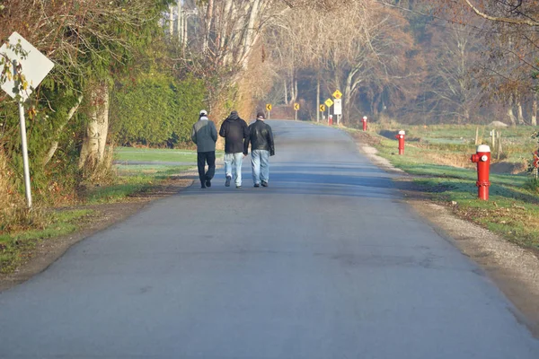 Tre Vänner Njuta Avslappnad Morgonpromenad Landsväg — Stockfoto