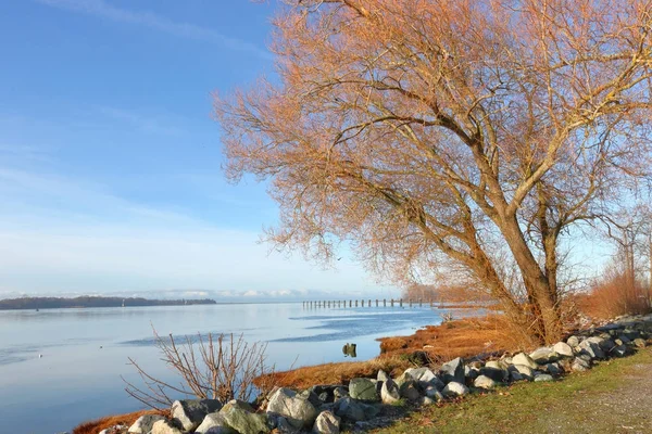 Mouth South Fraser River Richmond British Columbia Winter Months — Stock Photo, Image