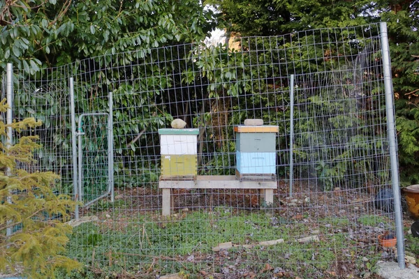 蜂ハイブ ボックスはシティ ガーデンで荒らしに対してそれらを保護するためにフェンスで囲まれました — ストック写真