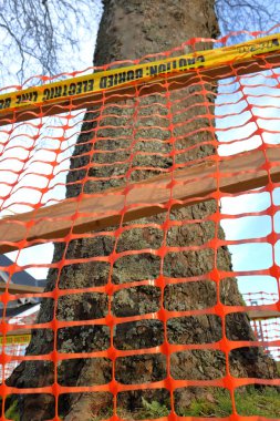 Close, detailed look at fencing and plastic twine used for protecting a tree from construction in an urban area.  clipart