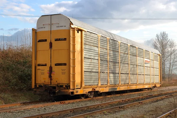 Dreiviertelprofil Eines Überhöhten Eisenbahnwaggons Der Für Den Transport Von Groß — Stockfoto