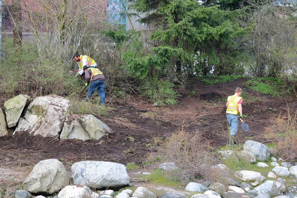 公园乘员组开始美化工作在栖所海岛一个小土地大量在错误小河在温哥华 公元前 加拿大在2018年3月27日 — 图库照片