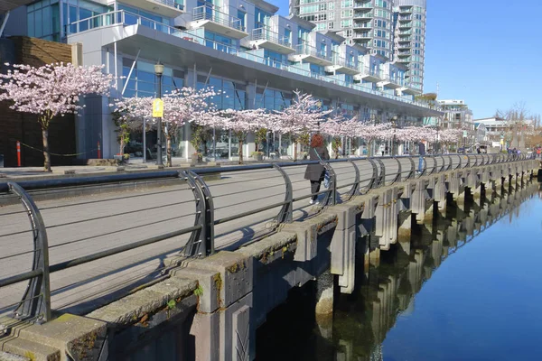 Nsanlar Nisan 2018 Bir Erken Bahar Gününde Vancouver Kanada Sırasında — Stok fotoğraf