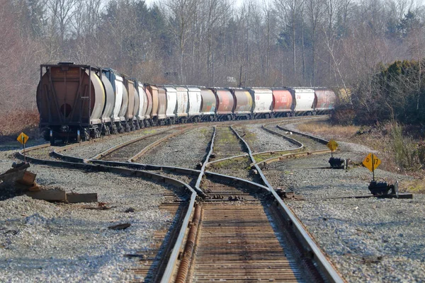 Piccolo Cantiere Ferroviario Nazionale Canadese Composto Quattro Binari Dove Grano — Foto Stock