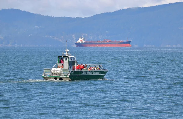 Kommersiell Whale Titta Fartyget Lämnar Engelska Bay Nära Vancouver Kanada — Stockfoto