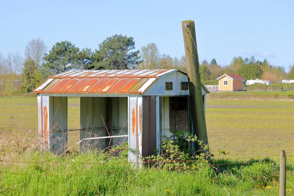 一个锈迹斑斑的旧农场工具棚 被忽略和遗忘 站在远处的背景下 一个新的花园棚 — 图库照片