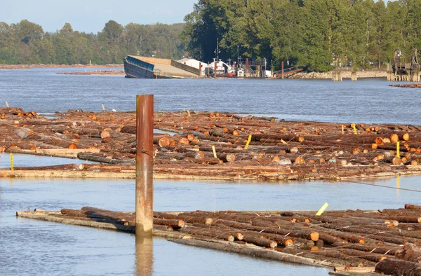 Logging Transporte São Apenas Duas Das Muitas Indústrias Encontradas Fraser — Fotografia de Stock