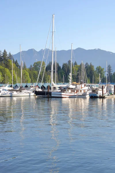 Vertical View Marina Surrounded Mountains Forests Many Luxury Private Boats — Stock Photo, Image