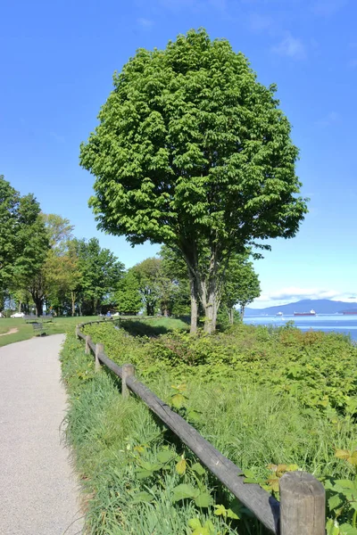 Vertical View Walkway Overlooking Vancouver English Bay Canadian West Coast — Stock Photo, Image