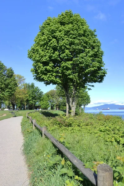 Vertical View Walkway Overlooking Vancouver English Bay Canadian West Coast — стоковое фото