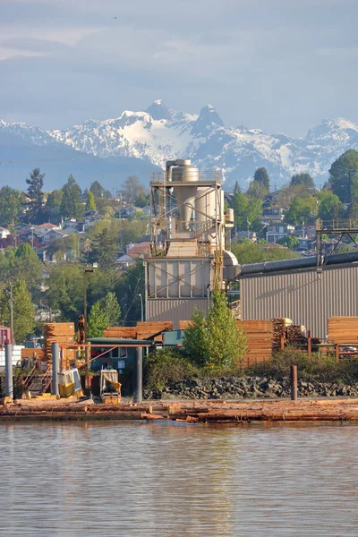 Ünlü Aslanlar Iki Farklı Kar Ağır Vancouver Kanada Batı Kıyısında — Stok fotoğraf