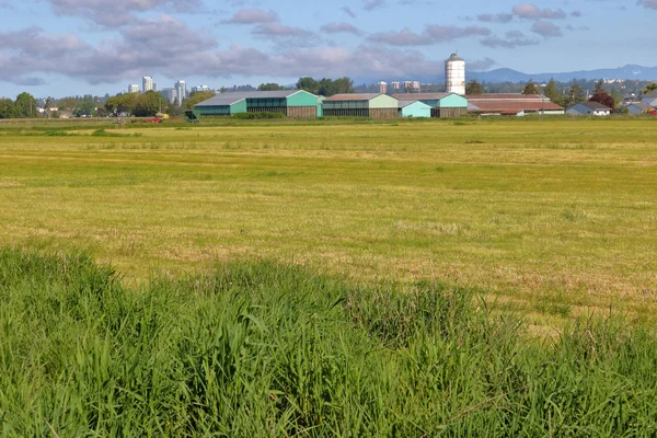 Richmond Soms Aangeduid Als Sea Island Grote Percelen Landbouwgrond Het — Stockfoto