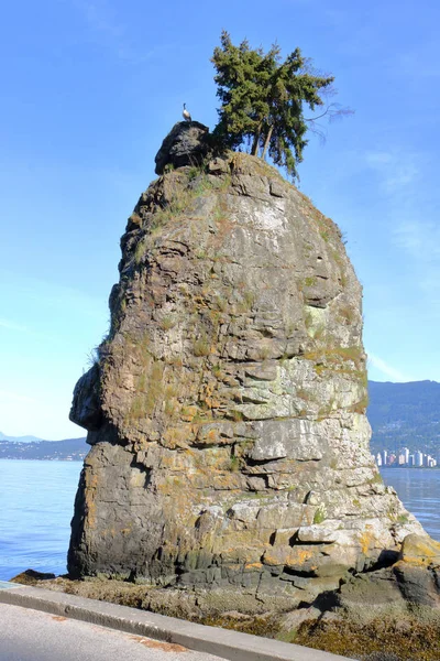 Vista Vertical Completa Del Famoso Hito Vancouver Siwash Rock Afloramiento — Foto de Stock