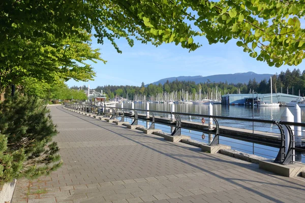 Hermoso Paseo Marítimo Del Centro Vancouver Con Puertos Deportivos Entrada —  Fotos de Stock