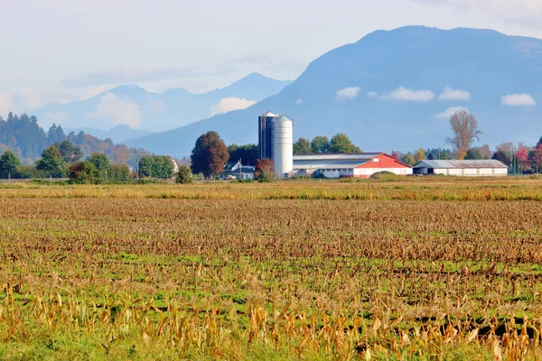 Wide View Rolling Hills Farm Buildings Agricultural Land Autumn Corn — Stock Photo, Image