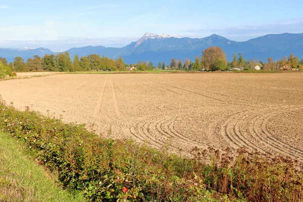 Mount Cheam Vetta Più Alta Del Distretto Meridionale Della Fraser — Foto Stock