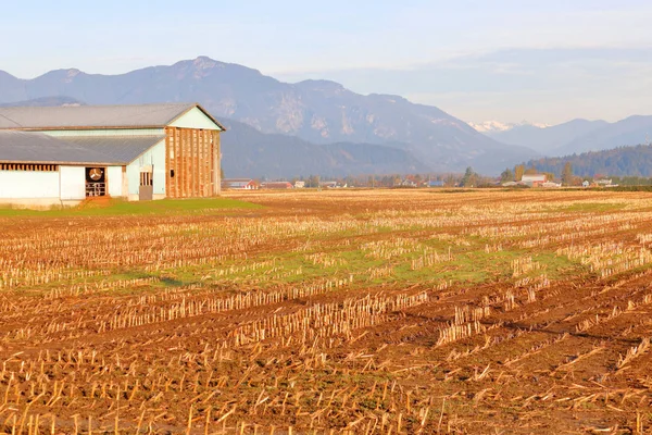 Les Montagnes Blanches Enneigées Rive Nord Vues Loin Les Champs — Photo