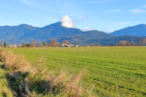 Široká Otevřená Venkovská Krajina Pobřežní Hory Nalezené Západním Pobřeží Kanady — Stock fotografie