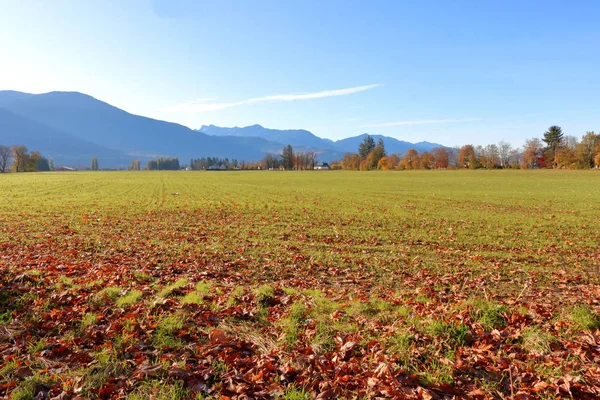 Ampia Veduta Aperta Una Valle Rurale Vista Durante Mesi Autunnali — Foto Stock