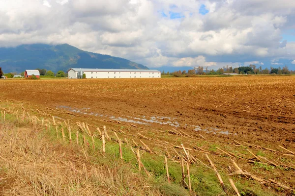 Völgygazdaság Vegyes Jövedelemmel Beleértve Nemrég Betakarított Baromfit Kukoricaföldet — Stock Fotó