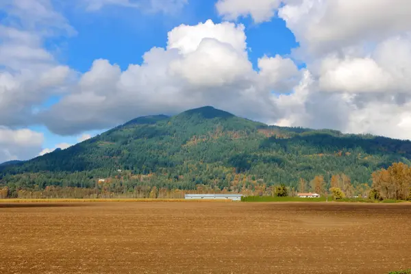 Valley Agricultural Land Found Southwest British Columbia Canada Fraser Valley — Stock Photo, Image