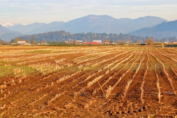 Wide Open Landscape View Harvested Corn Field Northshore Mountain Range — Stok fotoğraf