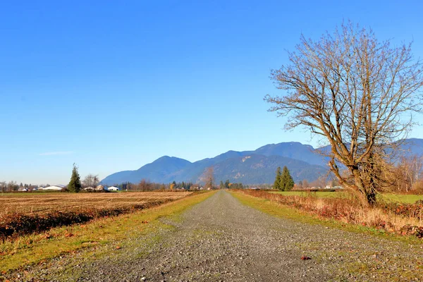 Weite Sicht Auf Einen Talweg Oder Feldweg Der Den Wintermonaten — Stockfoto