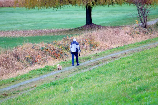 散歩のために彼の小さな犬を取っている高齢者の広い 高い角度のビュー — ストック写真