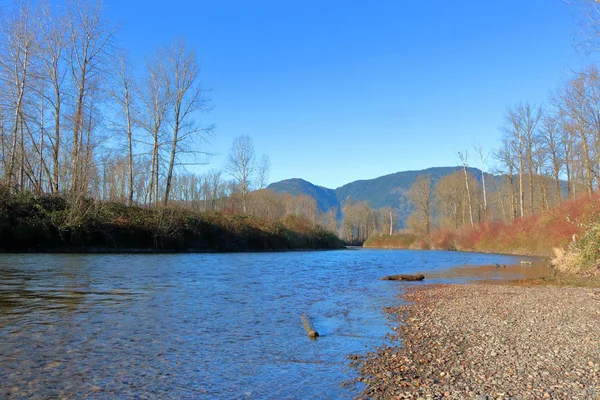 Amplia Vista Río Canadiense Poco Profundo Limpio Que Fluye Través — Foto de Stock