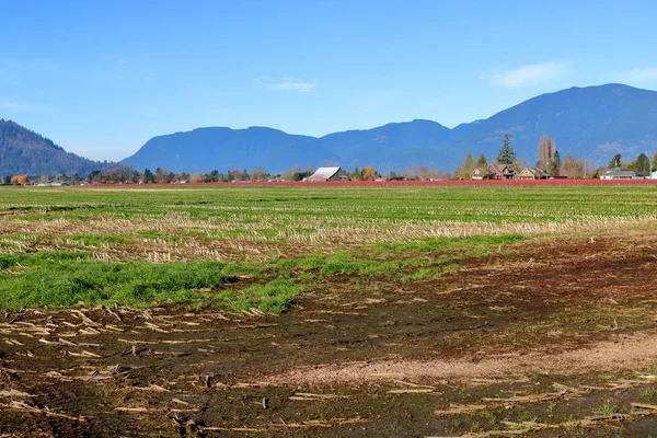 Breed Landschappelijk Uitzicht Het Platteland Van Sardis Het Zuidwesten Van — Stockfoto