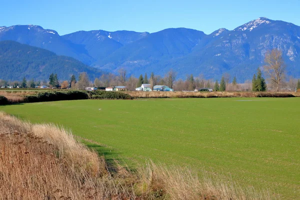 草原的绿色地毯被美丽的乡村和山脉环绕着 — 图库照片