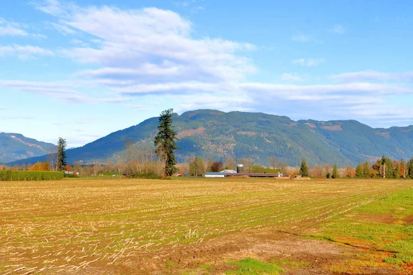 Breed Zicht Landbouwgrond Centraal Brits Columbia Canada Waar Glooiende Heuvels — Stockfoto