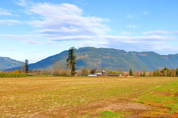 Ampla Vista Das Terras Agrícolas Centro Colúmbia Britânica Canadá Onde — Fotografia de Stock