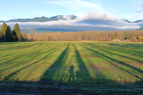 写真家と彼の自転車の影は 背後に丘陵がある田園地帯に向かって投げかける長い冬の影を伴っています — ストック写真
