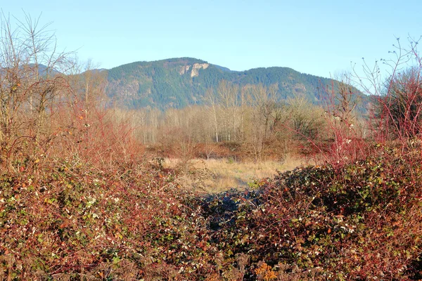 Wide View Wild Scrubland Valley Winter Months — Stock Photo, Image