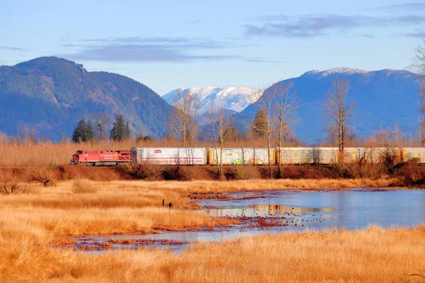 加拿大太平洋的一列火车把货车拖过了位于弗雷泽山谷的加拿大Bc的Chilliwack附近的险峻地带 — 图库照片