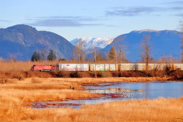 Tren Del Pacífico Canadiense Tira Los Vagones Carga Través Terrenos — Foto de Stock