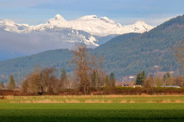 Bellissima Catena Montuosa Fraser Durante Mesi Invernali Affaccia Terreni Agricoli — Foto Stock