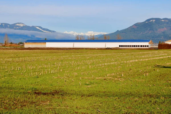 Pastizales Largo Edificio Ganado Construcción Situado Cerca Una Cordillera Durante — Foto de Stock