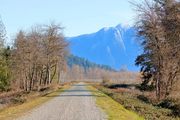 Wide Winter Trail Winds Its Way Boreal Forest Leads Snow — Stock Photo, Image