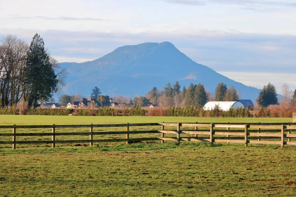 Wide View Corral Comprised Solid Wooden Posts Used Divide Pastureland — Stock Photo, Image