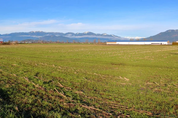 Weiter Landschaftlicher Blick Auf Frisch Gepflanztes Grünland Den Bau Eines — Stockfoto