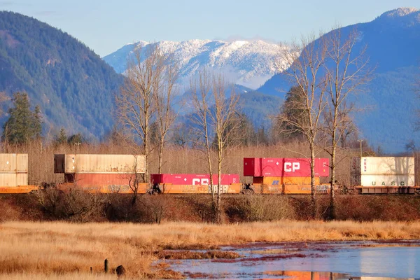 Canadian Pacific Cargo Cars Pass Moshland Chilliwack Canada Fraser Valley — Stock fotografie