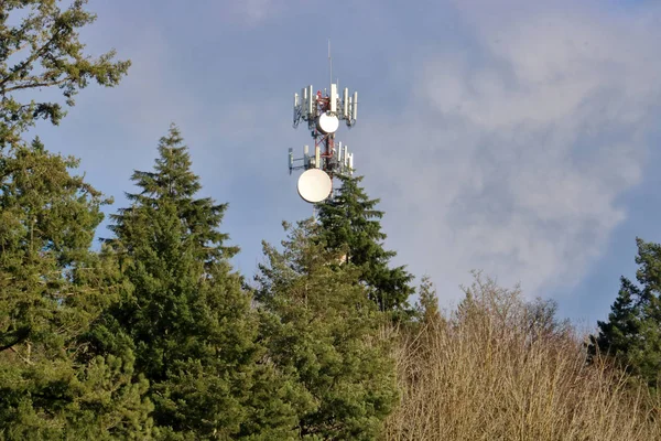 Wide Low Angle View Telecommunications Tower Set Thick Mountainous Forest — Stock Photo, Image