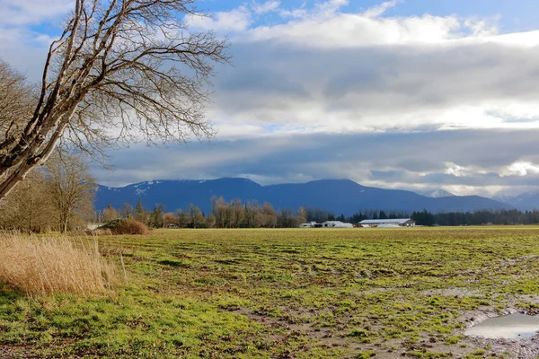 冬の雨で飽和している農業の風景の広い眺め — ストック写真
