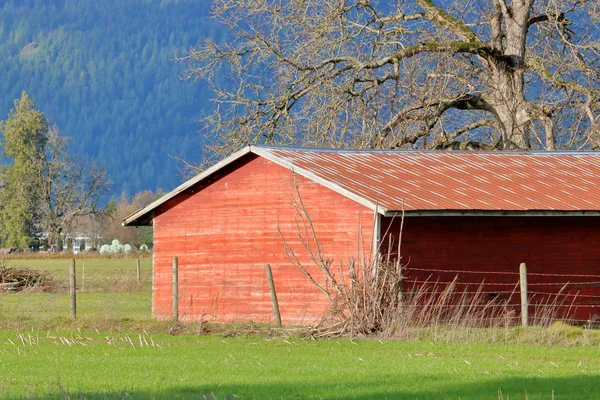 Egyszerű Kilátás Alapvető Piros Farm Épület Világít Téli Napfény Áll — Stock Fotó