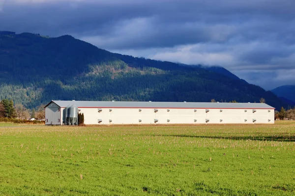 Une Vallée Rurale Des Nuages Hiver Sombres Menaçants Installent Dessus — Photo