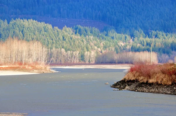 加拿大西南部的一条主要河流和冬季的北方森林 — 图库照片