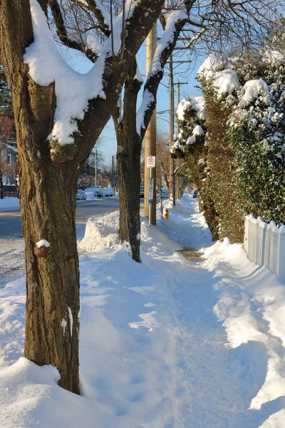 Vertical View Slippery Snow Covered Sidewalk Winter Storm — Stock Photo, Image