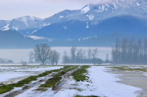 Široký Krajinný Pohled Jednu Prašnou Polní Cestu Údolí Zimě — Stock fotografie